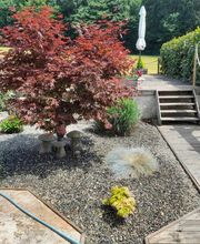 Boudon Olivier image 2