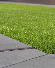 Cleangarten UG Bild 3