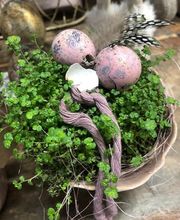 Schaufelbühl AG Blumen und Accessoires, Gartengestaltung Bild 5