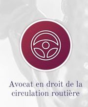 Le Roux Yann image 1