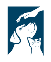 Rye Harrison Veterinary Hospital image 20