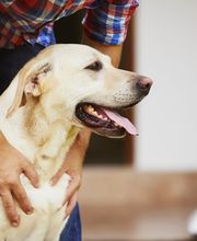 Sangaree Animal Hospital at Cane Bay image 5