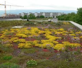 DULLA PARCS ET JARDINS SA Bild 3