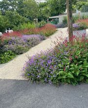 DULLA PARCS ET JARDINS SA Bild 11