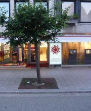 Der Zweig GmbH Bodenbeläge Bild 1