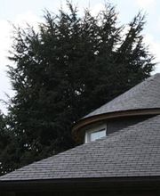 Lerre Françis et Fils SARL image 7