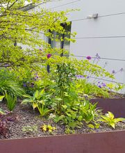 Besl Bischoff Gartenbau und Gartenpflege AG Bild 4