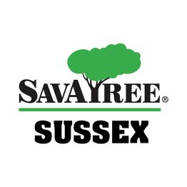 Sussex Tree - SavATree