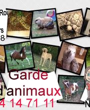 Duval Nathalie image 10