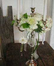 Blumenpanorama Hosch GmbH & Co. KG Bild 1