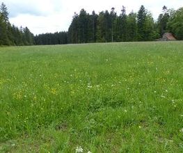 Camping Erbenwald Bild 10