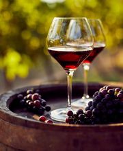 BODEGAS MASS imagen 11