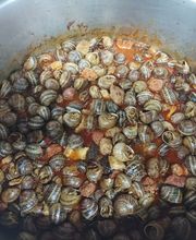 IMG_20220714_211218.jpg