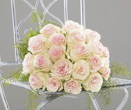 Blumen Fleischli Bild 7