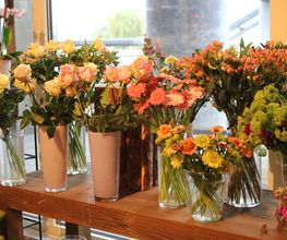 Blumen Eichenberger Horgen Bild 2
