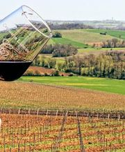 Château Lacroux image 2