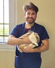 CLINIQUE VETERINAIRE DE LA VALLEE image 3