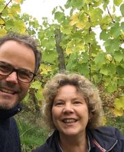 Weingut Louis Klein GbR Bild 6