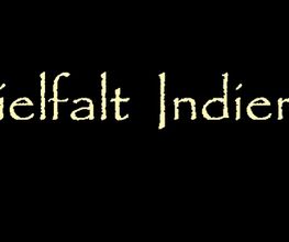 Vielfalt Indien GmbH Bild 12