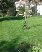 DAVIDEgiardini Bild 4