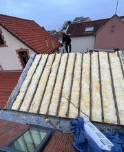 Seneca Antony image 4