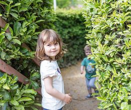 Humankind - Kinderdagverblijf Alles Ki(d)ts afbeelding 8