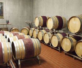 Weingut Jürg & Daniela Bild 9