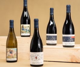 Groinen Wine GmbH Bild 2