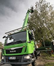 Baum-plus GmbH Bild 7