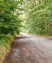 FriedWald Bremer Schweiz Bild 9