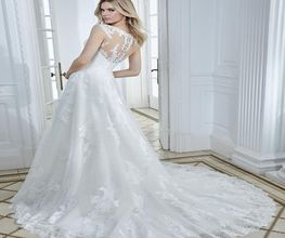 Modesty image 3