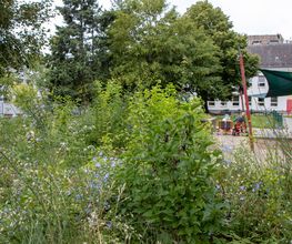 Fröbel-Kindergarten Oderknirpse in Frankfurt (Oder), Stadtzentrum, © Fröbel. Alle Rechte vorbehalten.