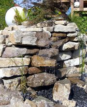 Der Grüne Baum Bild 15