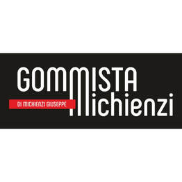 Gommista Michienzi logo