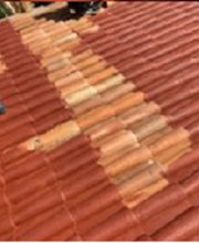 Lenoir Steeve image 16