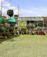 Gallery Professionale