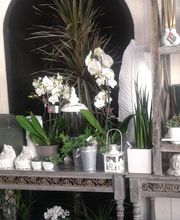 NATURE ET DECO image 4