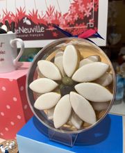 De Neuville image 20