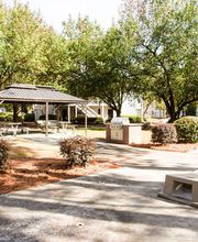 Hairston Woods image 13