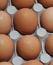 Sas Oeufs Arradoy image 5