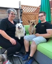 Teamwalk-Hundetrainer Bild 5