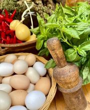 Ristorante Pizzeria Grill La Lampara Bellinzona Bild 11