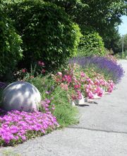 Chatelain Paysages SARL image 3