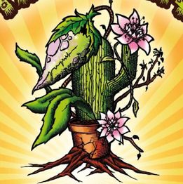 Toukipouss Growshop CBD shop