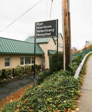 Rye Harrison Veterinary Hospital image 3
