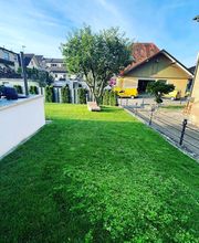 Amsler Gartenbau GmbH Bild 8