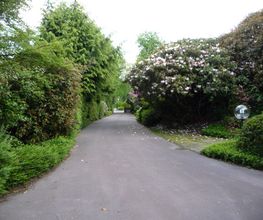 Gartenpflege von repräsentativen Objekten
