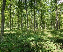 FriedWald Fürstenwalde Bild 10