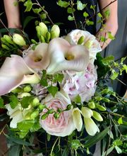 Guyard Benoît image 9