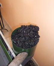 Beaujolais Ramonage Services image 4